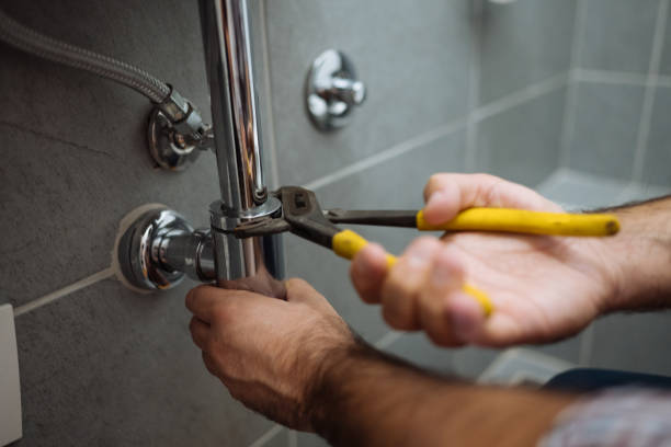Best Clogged Drain Plumber  in Vandalia, MO